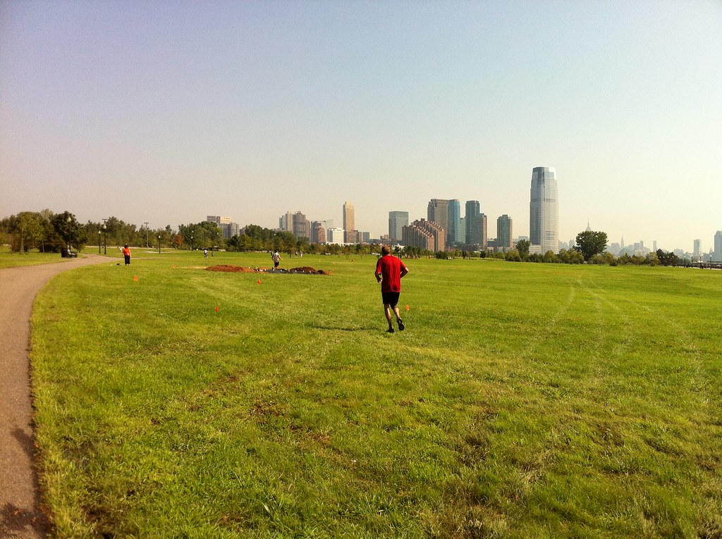 a person standing in a grassy field